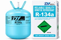 DY Dongyue R-134a Refrigerant Gas Cylinders – 13.6 Kg (30 Lb)