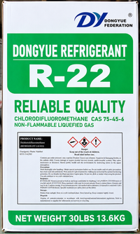 DY Dongyue R-22 Refrigerant Gas Cylinders – 13.6 Kg (30 Lb)