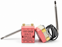 Capillary Thermostat WYB-75 For Electric Geyser – 250V 16A